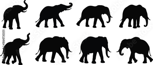Elephant Silhouette Set: A captivating series of majestic elephant silhouettes. The contrasting black figures showcase their power and elegance, ready to enhance any project with a touch of the wild.