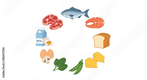 Circular arrangement of various healthy food groups including meat fish dairy products bread vegetables and mushrooms for nutrition education.