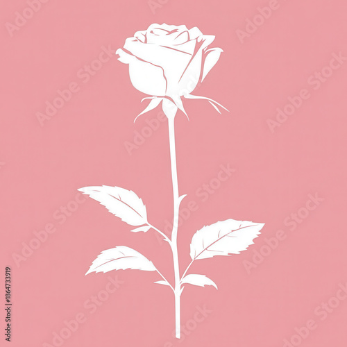 White rose silhouette pink background romantic floral single stem elegant bloom