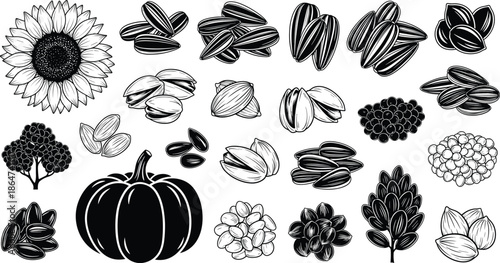 Sunflower Seeds Pumpkin and Botanical Elements Hand Drawn Line Art Vintage Vector Set