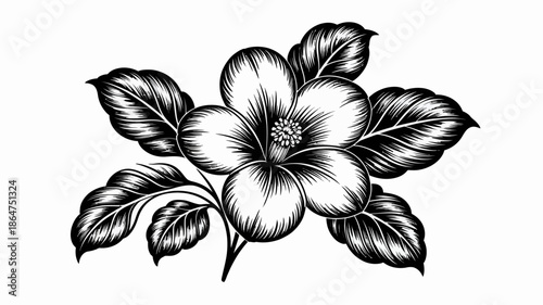 A beautiful black and white illustration of a flower with leaves
