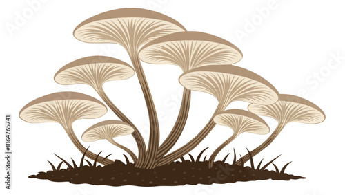 Brown mushrooms growing in a cluster on soil with grass