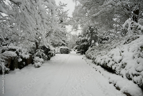 Winter, Schnee, Landschaft