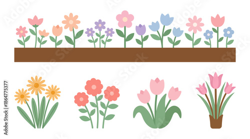 Colorful garden flowers in a wooden bed with individual blooming flowers illustration set
