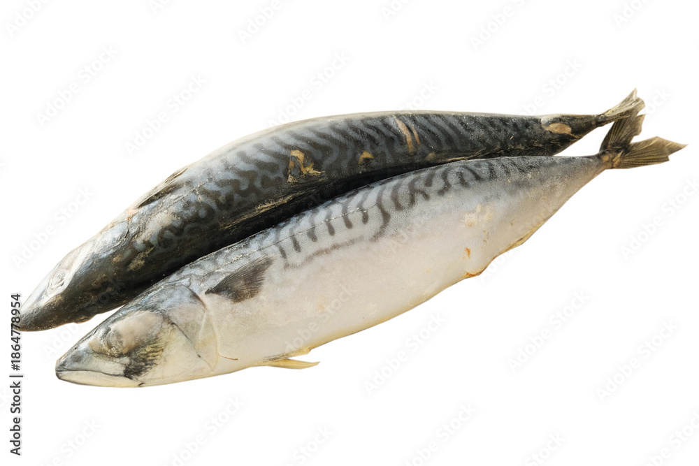 Fototapeta premium Raw two mackerel carcasses on white background. Iced Fish. Ready to cooking. Frozen fish. Top view.