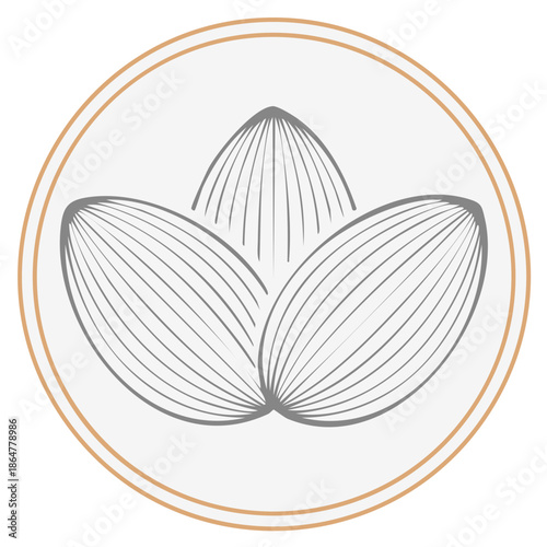 Clean vector graphic of three stylized natural seeds or almond shapes with fine lines in a circle