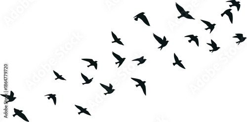 Flock of Birds Silhouettes Flying in Formation Against White Background