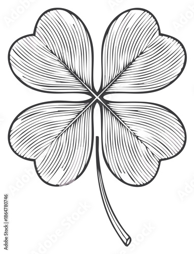Vintage style four leaf clover line art drawing symbolizing good luck fortune and natural beauty
