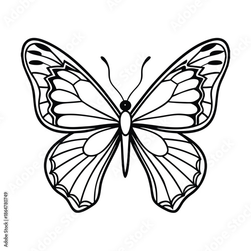 Delicate butterfly minimalist nature line art illustration