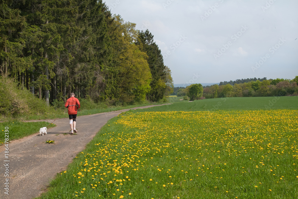Obraz premium Joggen im Frühling