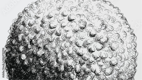 Detailed pencil sketch of a bumpy citrus fruit