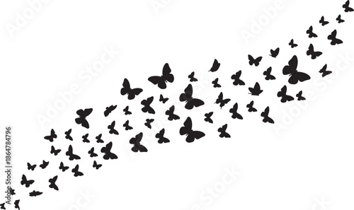 Butterfly Swarm Silhouette – Elegant Flying Butterflies Black Vector on White.
