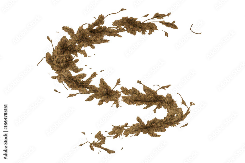 Fototapeta premium Dried pampas grass forming elegant s shape on transparent background, decorative natural element