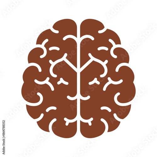 Brain Illustration Vector