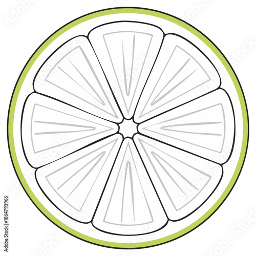 Simple vector illustration of a green lime fruit slice in cross section