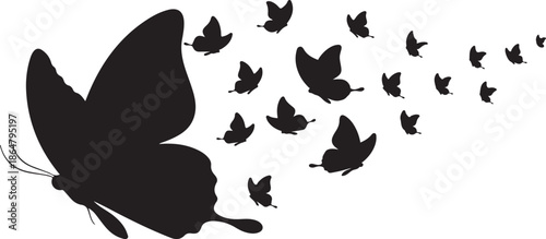 Butterfly Swarm Silhouette – Elegant Flying Butterflies Black Vector on White.