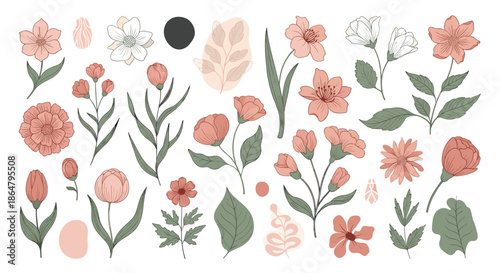 Pastel floral collection featuring various hand-drawn blossoms stems and leaves in muted pink and olive green tones for feminine and romantic designs.