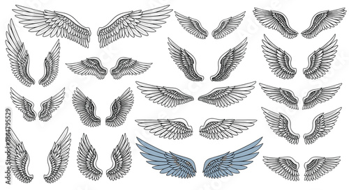 Detailed hand-drawn sketches representing various pairs of angel or bird wings in different shapes and sizes for graphic design projects.