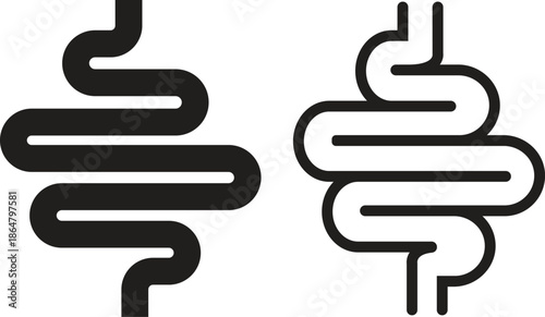 Human intestine digestive system organ flat, line icons set. Vectors graphic illustration depicting healthy gut abdomen internal body part minimalist lack elements isolated on transparent background.