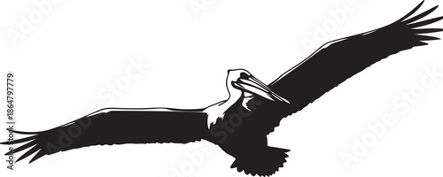 Silhouette of a pelican in flight, its wings outstretched against a dark background, capturing the grace of avian movement