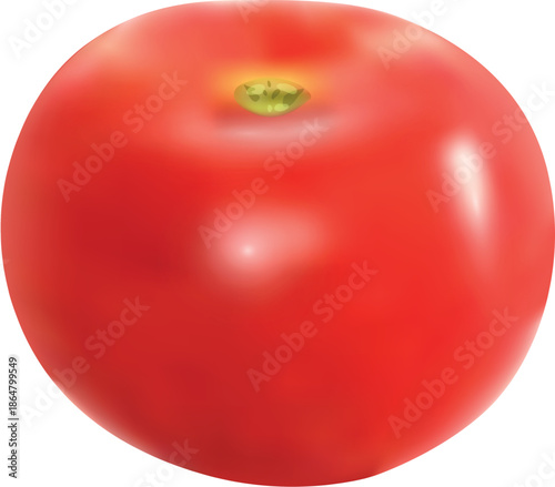 tomato isolated on white background