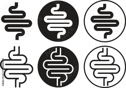 Human intestine digestive system organ flat, line icons set. Vectors graphic illustration depicting healthy gut abdomen internal body part minimalist lack elements isolated on transparent background.