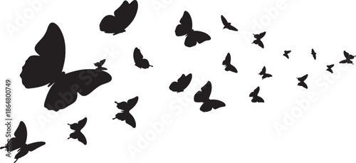 Butterfly Star Silhouette Pattern – Black Insect Shape Symbol on White Background.
