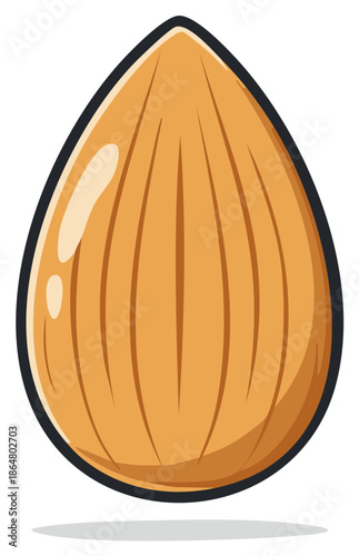 Single almond seed illustration with subtle shadows and highlights representing health and nutrition