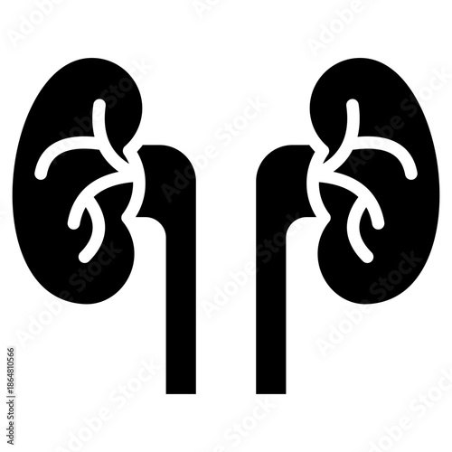 Nephrology glyph icon