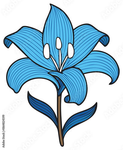 Vibrant blue lily flower with detailed petal lines and delicate stamen illustration