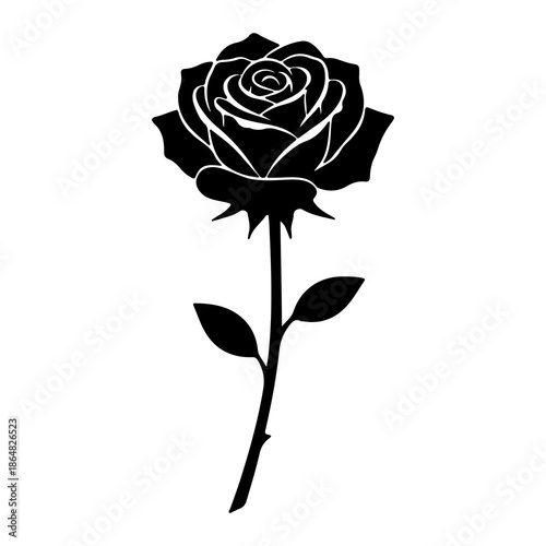 Black Rose Flower Silhouette Isolated on White
