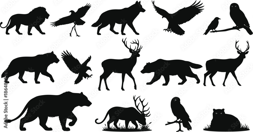 Obraz premium Collection of black silhouettes of various wild animals