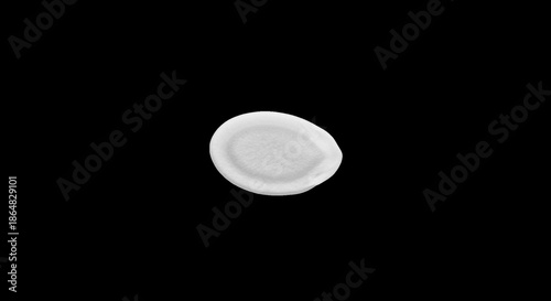 Single white pumpkin seed isolated on black background image