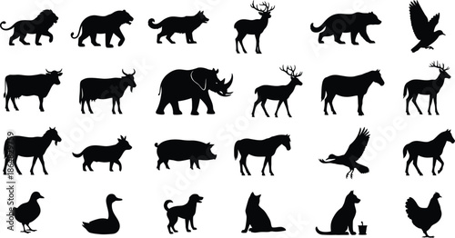 Collection of animal silhouettes in various poses and species