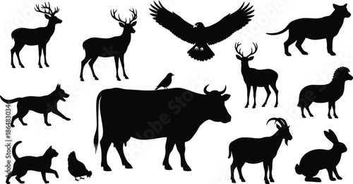 Silhouettes of various animals on a white background