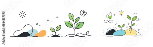 Growth stages of plants: illustrated evolution from seedling to mature plant