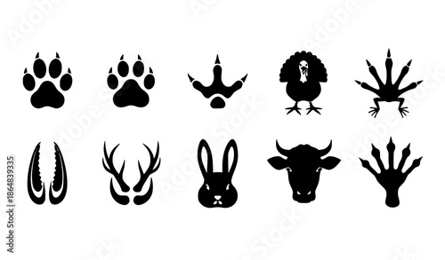 Animal footprints vector icon set with wildlife, domestic pets, and bird tracks