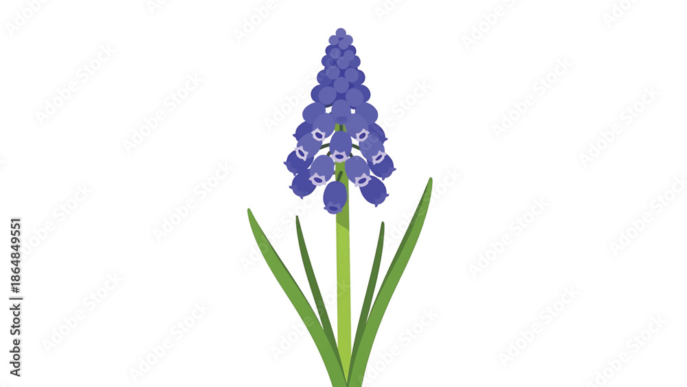 Obraz premium A vibrant, simple, and stylized digital illustration of a flowering plant. The flower is a cluster of small, blue-violet bells. It has long, green leaves
