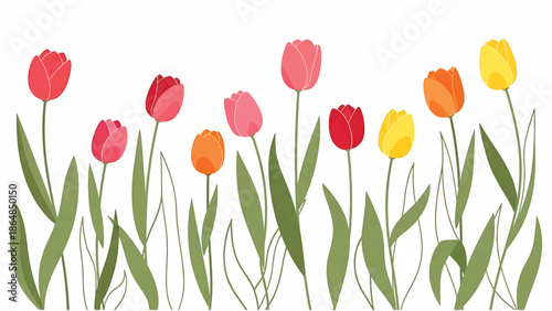 A vibrant illustration showcasing an array of colorful tulip blossoms in various hues, with green stems and leaves against a white backdrop