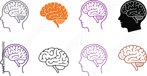 Diverse Vector Illustrations Showcasing the Complexity of the Human Brain