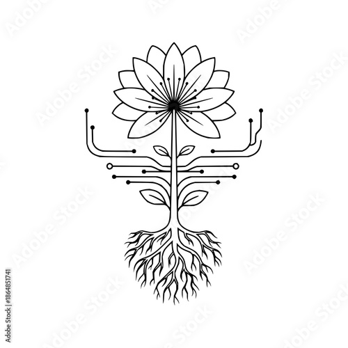Black and White Topographic Snowflake Design on White Background with isolated and abstract and line art in illustration symmetry for geometric