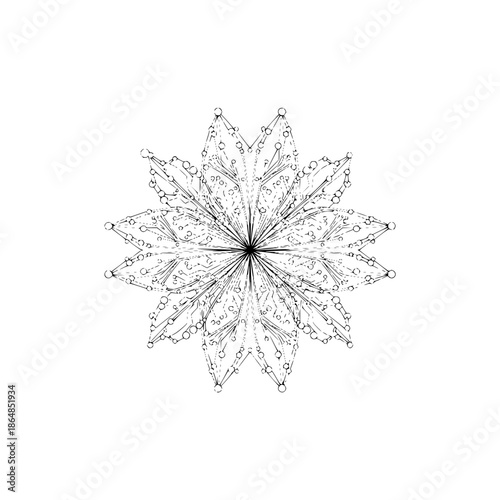 Black and White Topographic Snowflake Design on White Background with isolated and abstract and line art in illustration symmetry for geometric