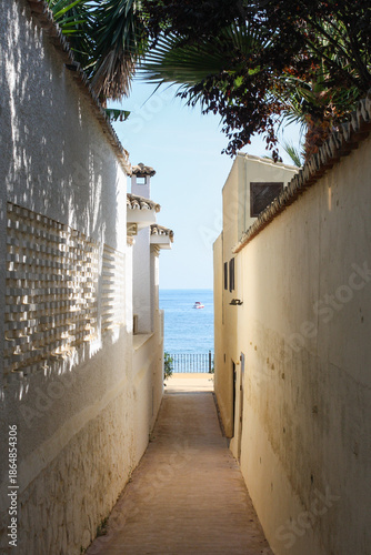 Narrow street in the old town, Marbella, Andalusia,Spain