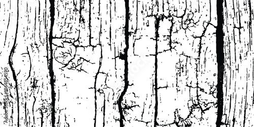 Abstract black and white vintage wood texture background with cracks and distressed look. Vector black and white grunge texture of weathered wood with cracks and grain. 