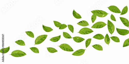 A scattering of vibrant green leaves against a clean white background