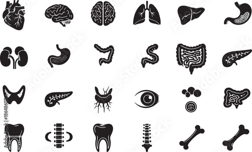 Detailed collection of human anatomy icons, illustrating vital internal organs and skeletal structures for medical, educational, and health-related designs