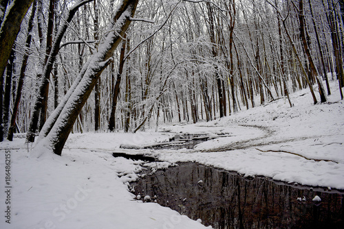 Stream in a winter deciduous forest.