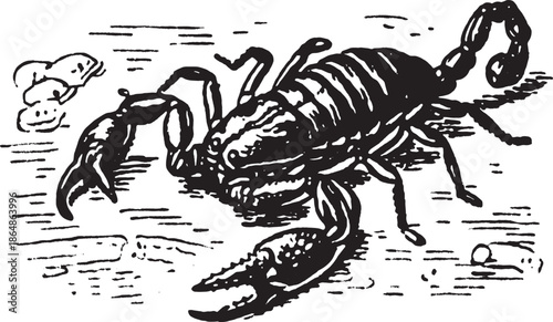 Detailed illustration of a scorpion showcasing its pincer and claw. Black vector art depiction of the creature in a natural environment set.