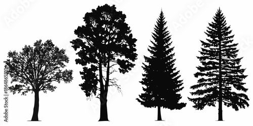 Silhouettes of various evergreen and deciduous trees against a white background