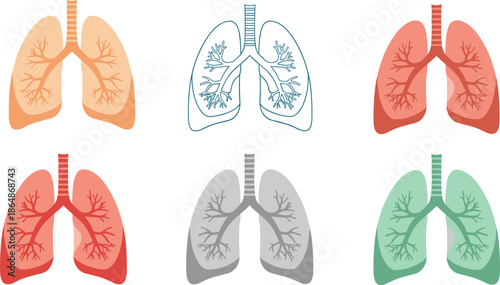 Set of Six Human Lungs Anatomy Illustrations in Different Colors Representing Respiratory Health Medical Science Pulmonology Biology Education and Breathing